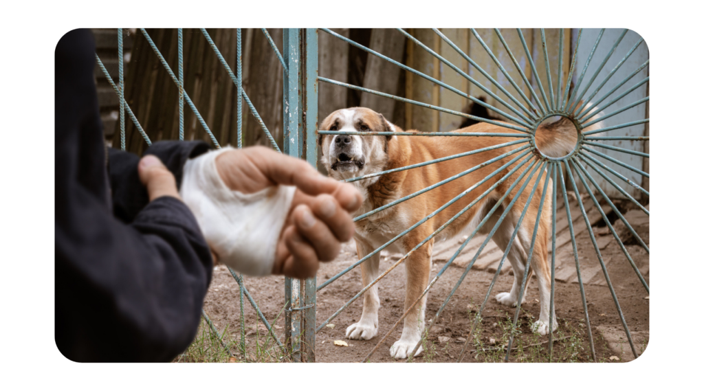 dog bite injury lawyer premises san francisco