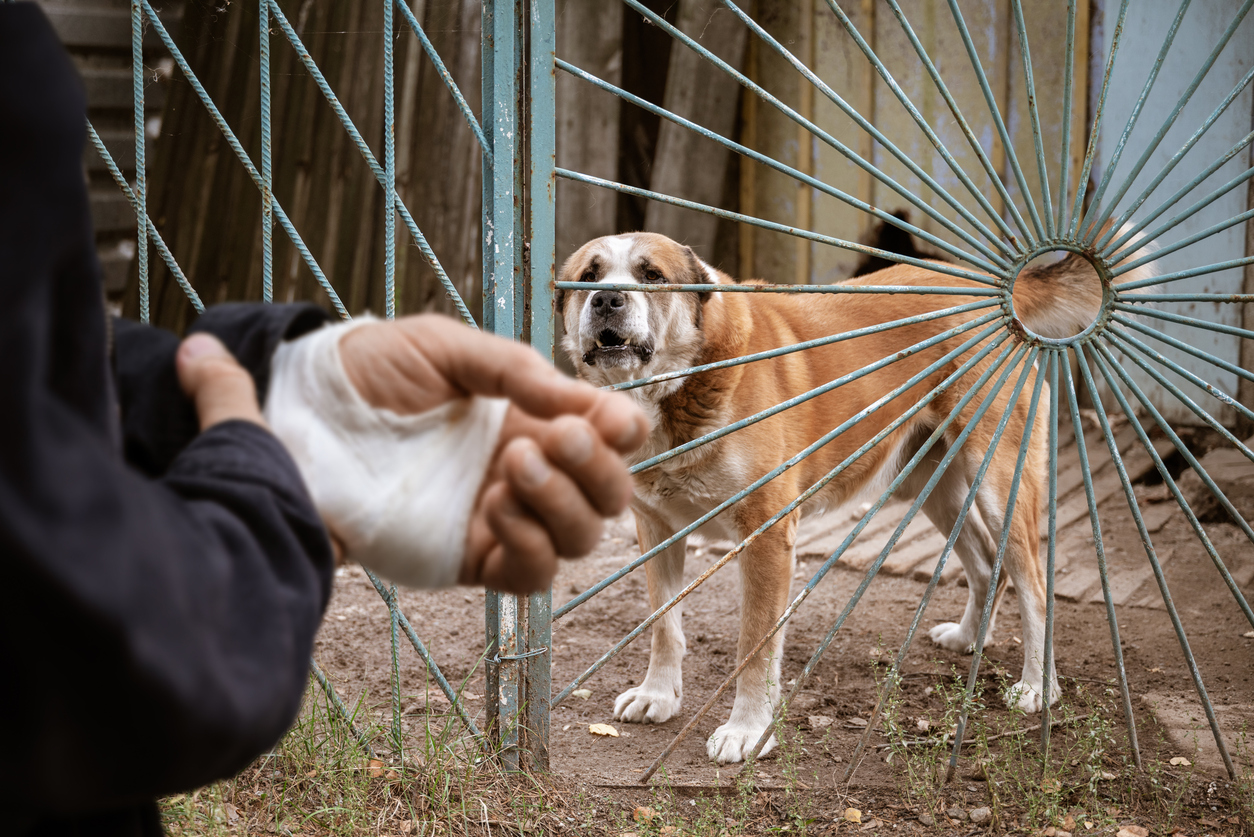 dog bite injury lawyer premises san francisco